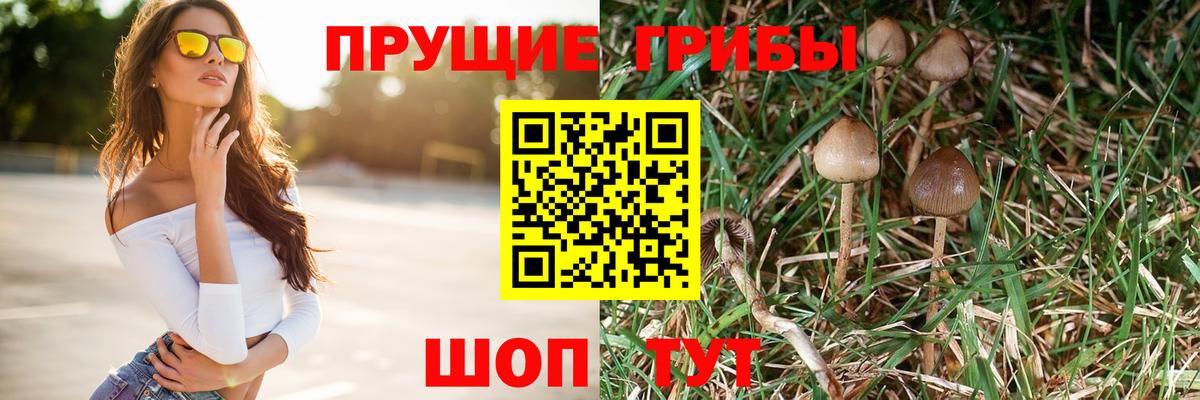 Галлюциногенные грибы MAGIC MUSHROOMS  Вход с VPN  Гулькевичи  Псилоцибиновые грибы мухоморы 