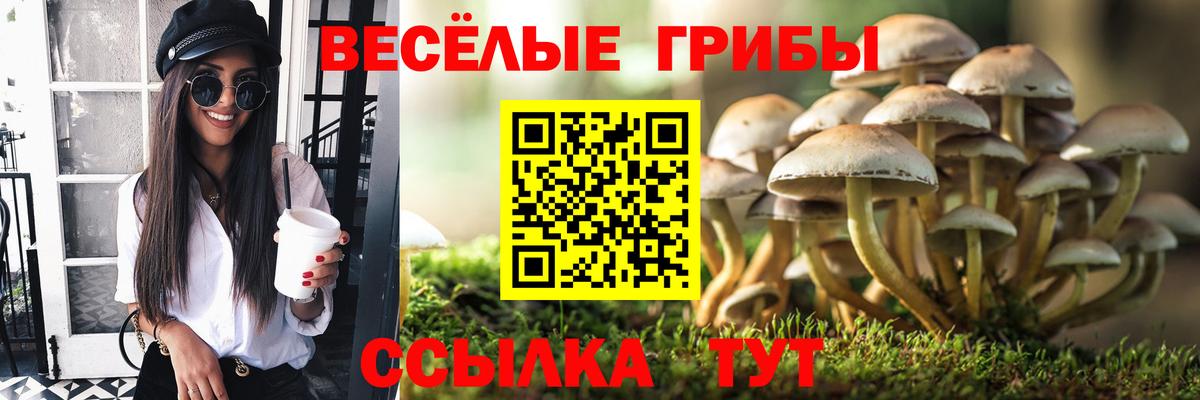 Галлюциногенные грибы Magic Shrooms Гулькевичи